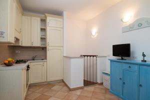 Myrsine 9D - Klodge img13