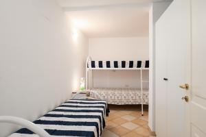 Myrsine 9D - Klodge img14