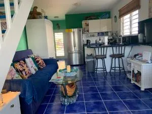 Oceanfront Townhome in Marazul Dive Resort - Westpunt