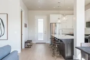 Resort Villa 1 LOWER LEVEL! YEAR ROUND HEATED POOL AND HOT TUB DOG FRIENDLY - Bloomington