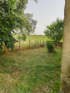 Maisons de vacances Maison champetre au coeur de la campagne : photos des chambres