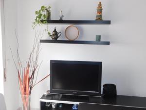 Tropical Rocha Residence