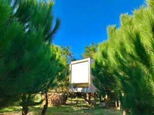 Desertas Beach and Sport