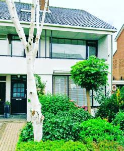 B&Bslapenopeeneiland