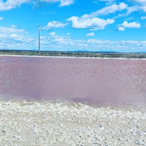 Maisons de vacances Appartement au coeur des rizieres : photos des chambres