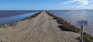 Maisons de vacances Appartement au coeur des rizieres : photos des chambres