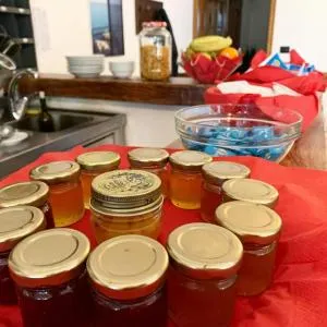 Altopiano - Millesimo