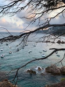 Apartamento luminoso Paloma a 350 metros de la playa con parking gratuito