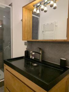 Appartements Les Deux Alpes, Le Lauvitel, appartement cosy, pied des pistes, 2 adultes 2 enfants : photos des chambres