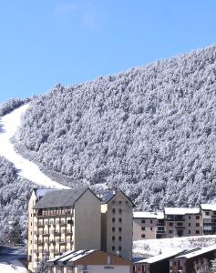 Appartements Le Petit Ours & Le Petit Cerf - Studios vue lac & montagnes : photos des chambres