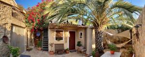 Tinyhouse im Patio einer romantischen Finca