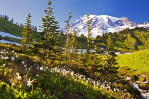 Fairway Village Unit 9