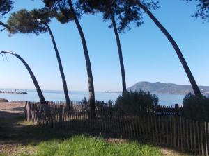 Appartements T2 climatise a 500m de la plage sur la presqu'ile de Saint Mandrier sur Mer : photos des chambres