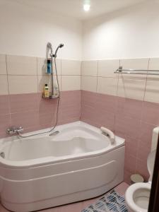 Masaryss apartament Tulcea