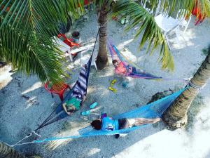 Blue Magic Hostel - Ubytování bez kategorie ve městě Cozumel