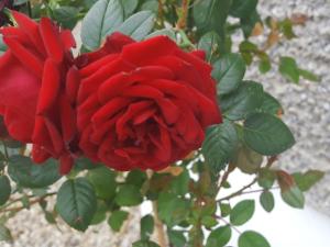 Bealkelly Country House