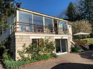 Charme à Saint-Fargeau - La Trée