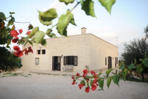Lantico Trullo - Masseria Chiancarella