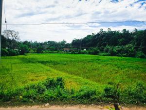 Villa Kubura Mirissa