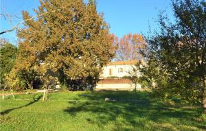 Nice Apartment In Monteux With Wifi