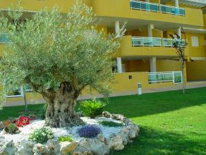 Apartamento Brisas de Denia