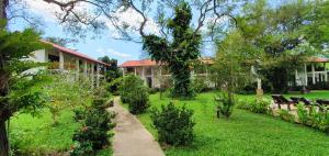 Blue Turtle Hotel