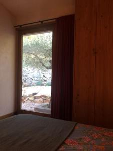 Maisons de vacances Lodge Les Oliviers : photos des chambres