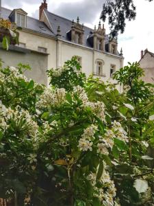 Hotels Le Clos d'Amboise : photos des chambres