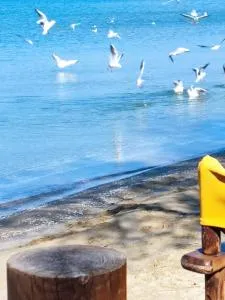 Cozy Apartment Fantastic View - 尼亚·蒙达尼亚