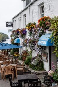 5 stern pension Port Gaverne Hotel Port Isaac Grossbritannien