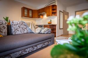 Apart-Styl Apartamenty Zakopane- Brzozowa, Centrum miasta