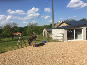 Campings Camping de la ferme aux anesses, mobil home sofia2 : photos des chambres