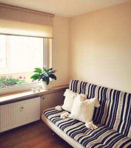 Amber apartment
