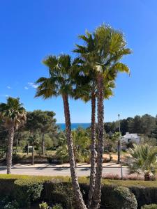 Luxury Ocean Front T2 - Pool - Garage - 6 Guests