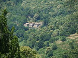 Maisons de vacances Le Temps Suspendu : photos des chambres