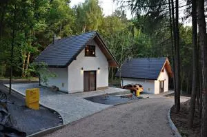 Domki Łowisko Wieniec - Gdów