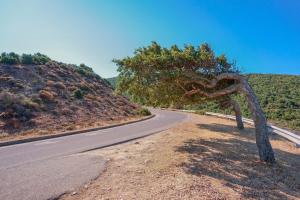 L'Oasi del Cervo img33