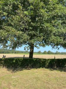 Maisons de vacances Sfeervol huis op het platteland : photos des chambres