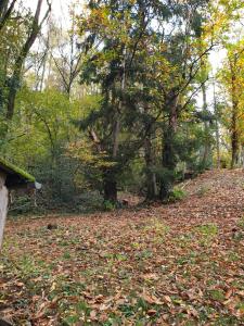 Maisons de vacances Le refuge d'Eline, maison de campagne sud Cantal : photos des chambres