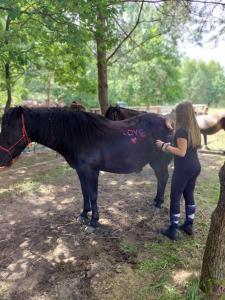 AGROTURYSTYKA NAD STAWEM