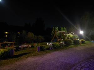 AGROTURYSTYKA NAD STAWEM