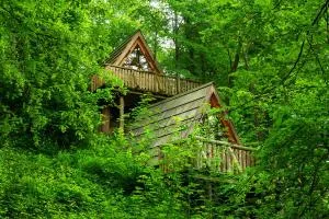 Glamping Savinja - Gornji Grad