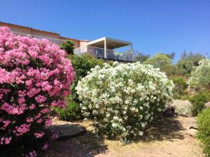 Maison accueillante avec jardin et vue sur montagne à Porto-Vecchio