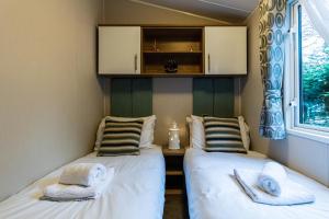 Sea Squirrel - Norfolk Cottage Agency