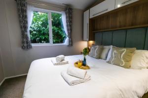 Sea Squirrel - Norfolk Cottage Agency