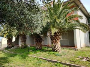 Villa del Palmeto img1