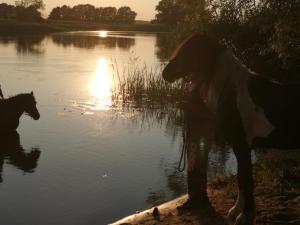 Ferienwohnung Czampiel