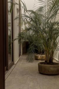 Narrativ Lofts - Serena - Beautiful Colonial Suite