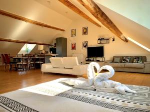 Les Fabuleux appartements du Coeur de ville - Place Victor Hugo : photos des chambres