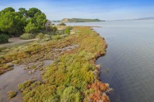 Campings MOBIL HOME 4 PERSONNES TOUT CONFORT : photos des chambres